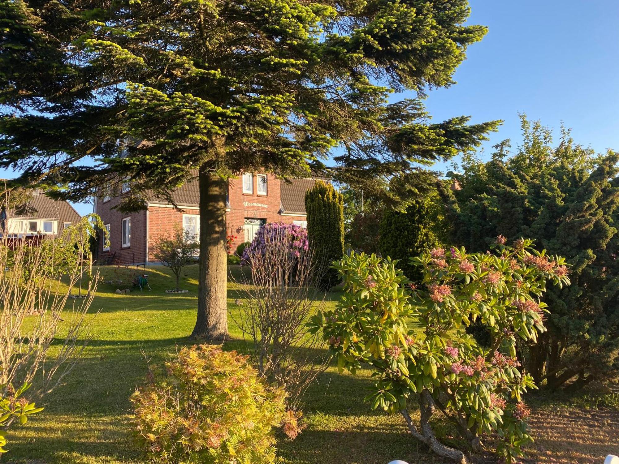 Pension Wosmaaren Norddorf auf Amrum Exterior foto